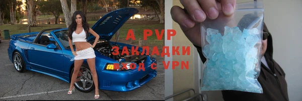 сатива Алзамай
