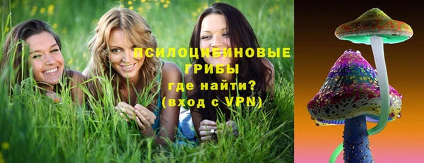 сатива Алзамай