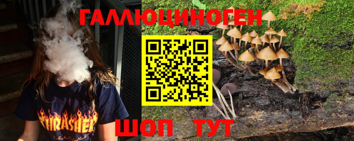 Самара  Галлюциногенные грибы Cubensis  Вход с VPN  Псилоцибиновые грибы мицелий 